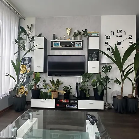Nowe Zerniki Lejlighed *